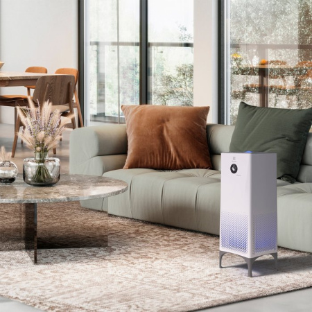 Electrolux Yin&Yang EAP- 2050D